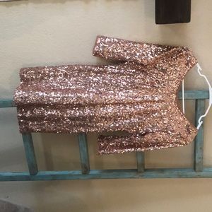 Rose Gold Sequin Dress